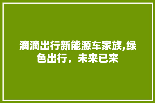 滴滴出行新能源车家族,绿色出行，未来已来  第1张