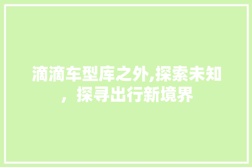 滴滴车型库之外,探索未知，探寻出行新境界  第1张