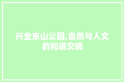 兴业东山公园,自然与人文的和谐交响