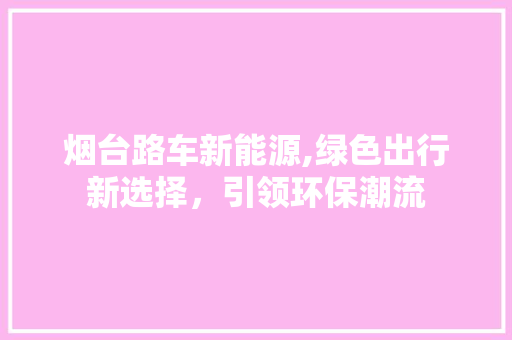 烟台路车新能源,绿色出行新选择，引领环保潮流  第1张