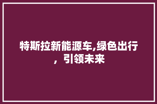 特斯拉新能源车,绿色出行，引领未来  第1张