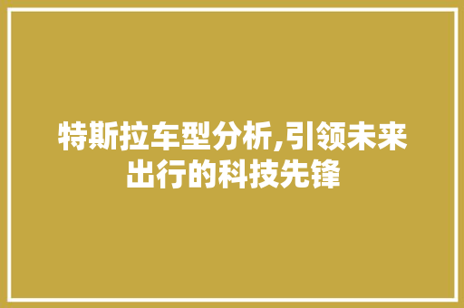 特斯拉车型分析,引领未来出行的科技先锋