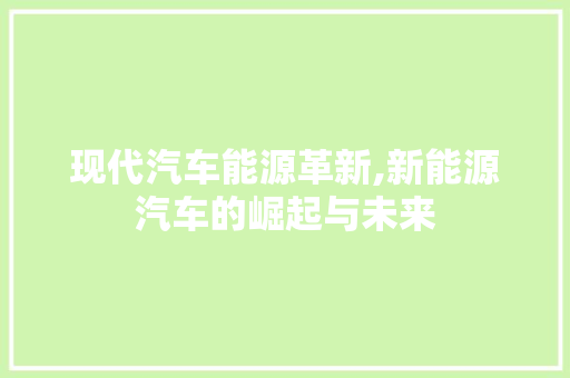 现代汽车能源革新,新能源汽车的崛起与未来  第1张