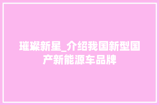 璀璨新星_介绍我国新型国产新能源车品牌