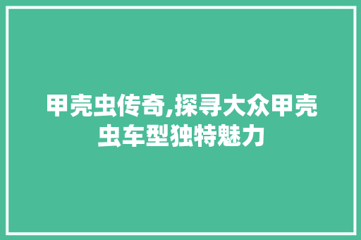 甲壳虫传奇,探寻大众甲壳虫车型独特魅力