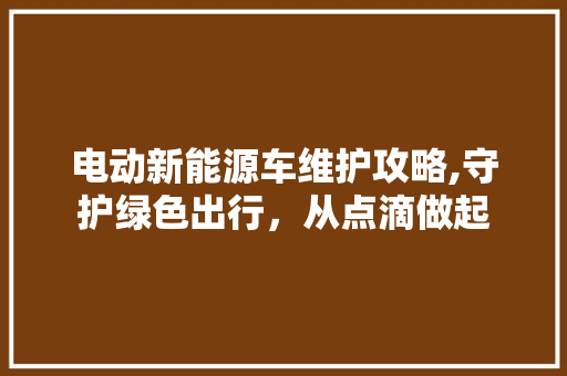 电动新能源车维护攻略,守护绿色出行，从点滴做起