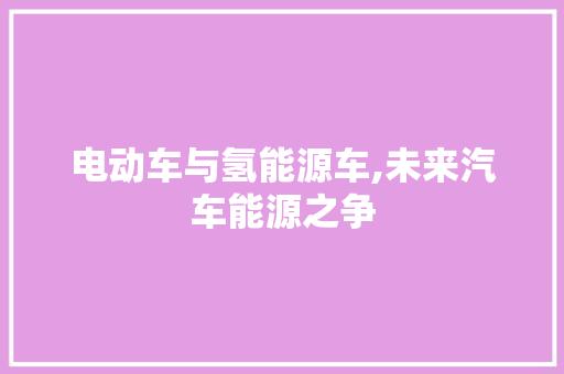 电动车与氢能源车,未来汽车能源之争  第1张