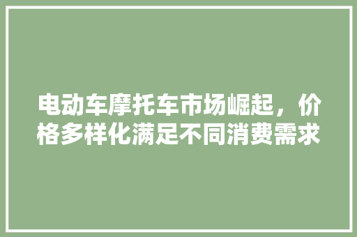 电动车摩托车市场崛起，价格多样化满足不同消费需求