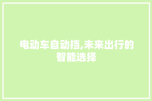 电动车自动挡,未来出行的智能选择