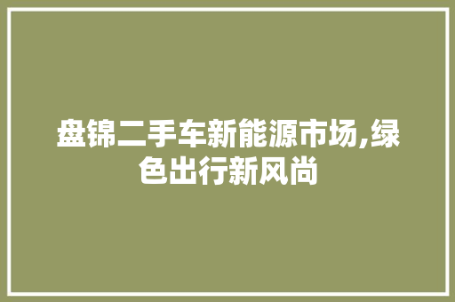 盘锦二手车新能源市场,绿色出行新风尚