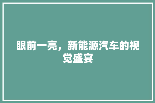 眼前一亮，新能源汽车的视觉盛宴  第1张