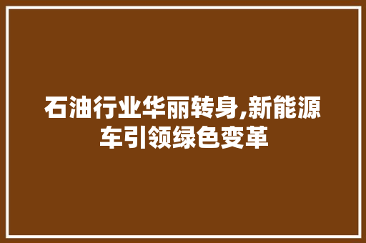 石油行业华丽转身,新能源车引领绿色变革  第1张