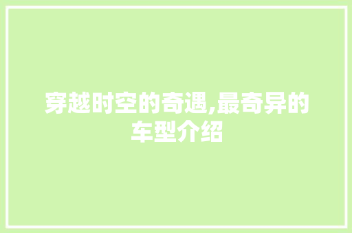 穿越时空的奇遇,最奇异的车型介绍