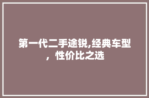 第一代二手途锐,经典车型，性价比之选