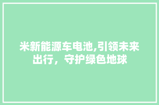 米新能源车电池,引领未来出行，守护绿色地球  第1张