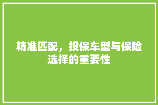 精准匹配，投保车型与保险选择的重要性  第1张