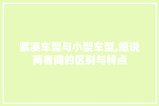 紧凑车型与小型车型,细说两者间的区别与特点