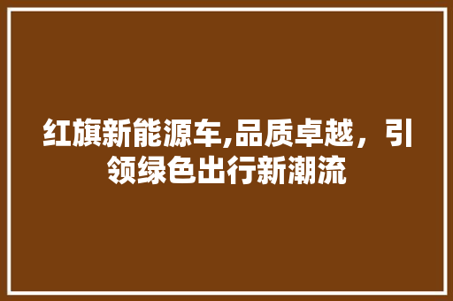 红旗新能源车,品质卓越，引领绿色出行新潮流