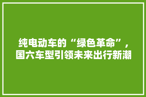 纯电动车的“绿色革命”,国六车型引领未来出行新潮流  第1张