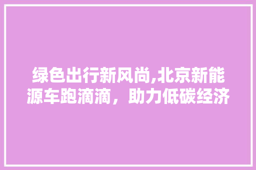 绿色出行新风尚,北京新能源车跑滴滴，助力低碳经济发展  第1张