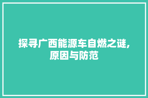 探寻广西能源车自燃之谜,原因与防范  第1张