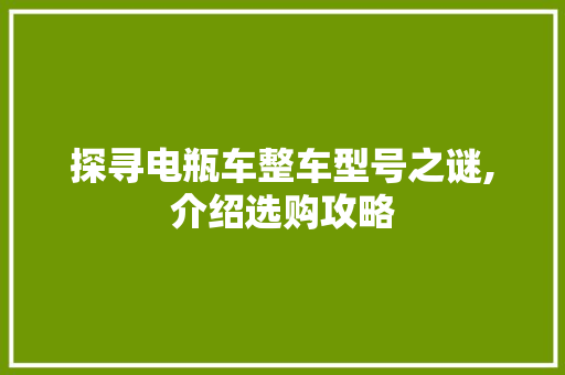 探寻电瓶车整车型号之谜,介绍选购攻略  第1张