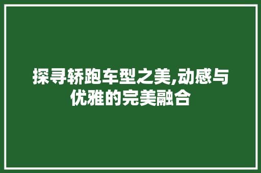 探寻轿跑车型之美,动感与优雅的完美融合