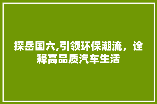 探岳国六,引领环保潮流，诠释高品质汽车生活  第1张