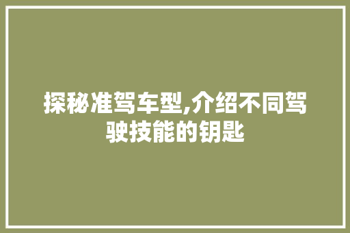 探秘准驾车型,介绍不同驾驶技能的钥匙