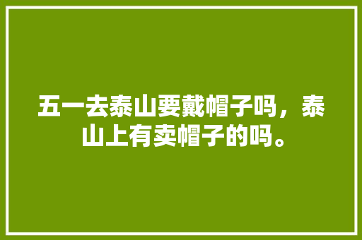 五一去泰山要戴帽子吗，泰山上有卖帽子的吗。  第1张