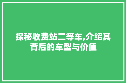 探秘收费站二等车,介绍其背后的车型与价值  第1张