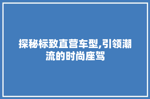 探秘标致直营车型,引领潮流的时尚座驾