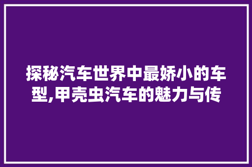 探秘汽车世界中最娇小的车型,甲壳虫汽车的魅力与传承  第1张