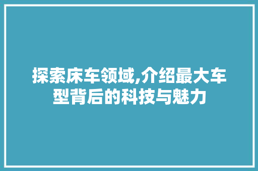 探索床车领域,介绍最大车型背后的科技与魅力