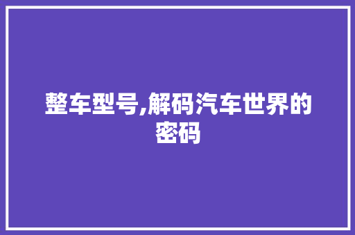 整车型号,解码汽车世界的密码