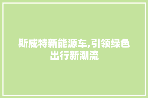 斯威特新能源车,引领绿色出行新潮流