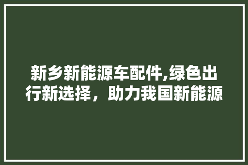 新乡新能源车配件,绿色出行新选择，助力我国新能源汽车产业蓬勃发展  第1张