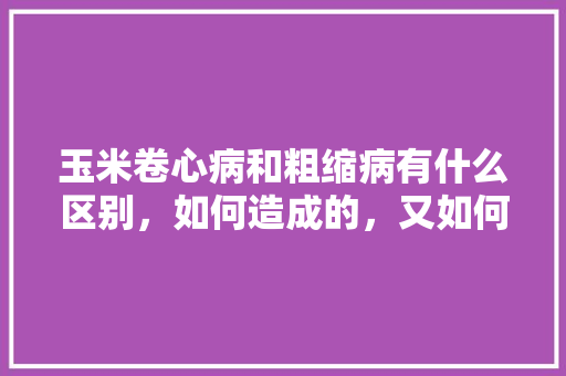 玉米卷心病和粗缩病有什么区别，如何造成的，又如何预防，麦田旅游日记主要内容。