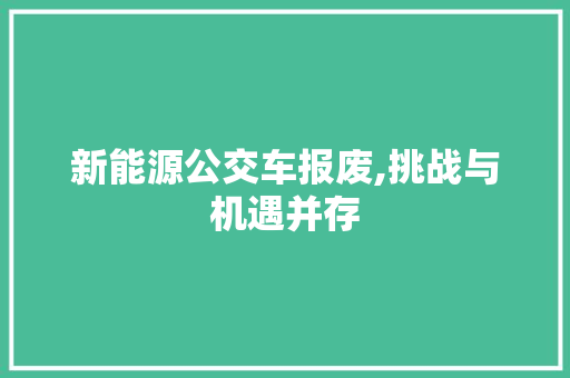 新能源公交车报废,挑战与机遇并存  第1张