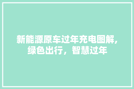 新能源原车过年充电图解,绿色出行，智慧过年  第1张