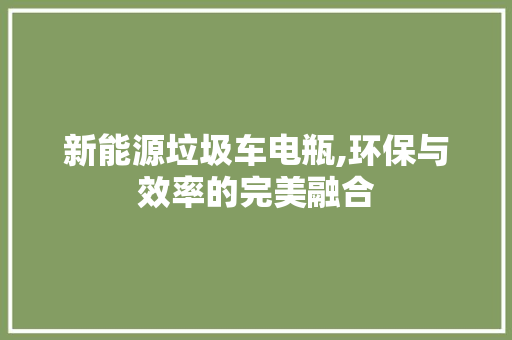 新能源垃圾车电瓶,环保与效率的完美融合