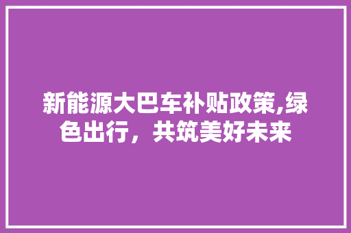 新能源大巴车补贴政策,绿色出行，共筑美好未来