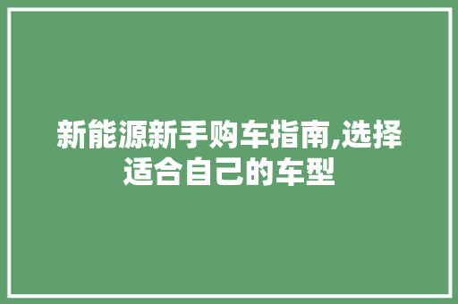 新能源新手购车指南,选择适合自己的车型  第1张