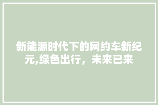 新能源时代下的网约车新纪元,绿色出行，未来已来  第1张