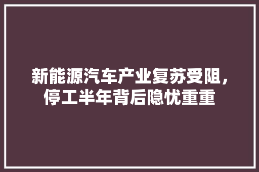 新能源汽车产业复苏受阻，停工半年背后隐忧重重  第1张