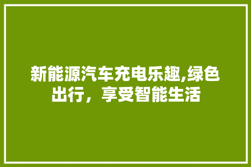 新能源汽车充电乐趣,绿色出行，享受智能生活  第1张