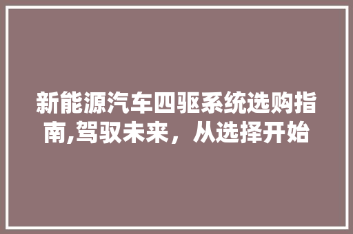 新能源汽车四驱系统选购指南,驾驭未来，从选择开始