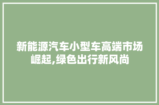 新能源汽车小型车高端市场崛起,绿色出行新风尚