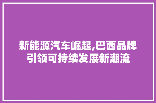 新能源汽车崛起,巴西品牌引领可持续发展新潮流