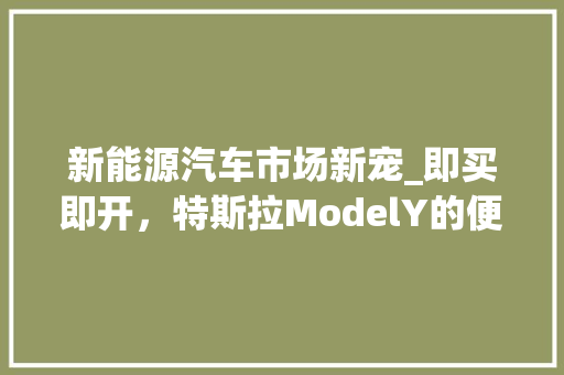 新能源汽车市场新宠_即买即开，特斯拉ModelY的便捷体验  第1张